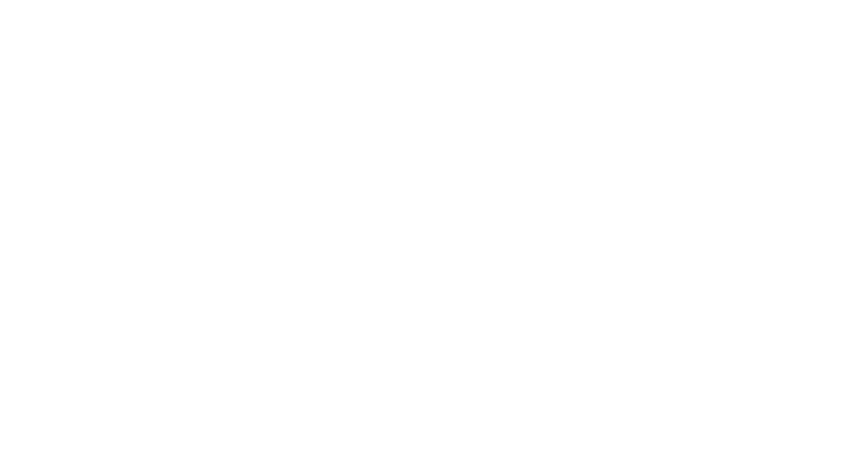 bizSAFE Level 3