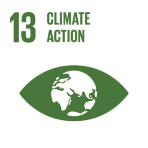 https://www.globalgoals.org/goals/13-climate-action/